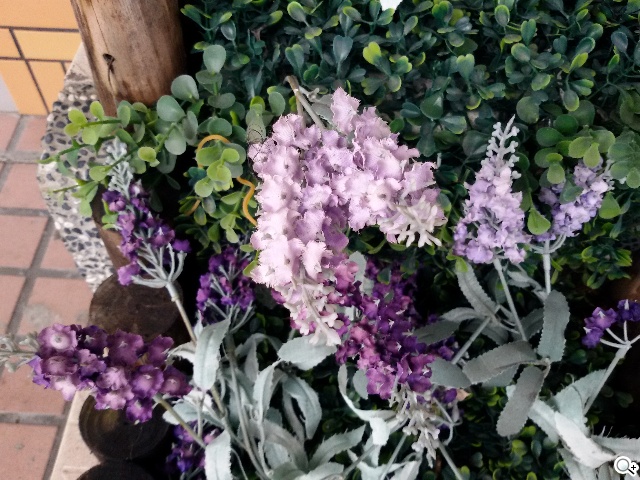 5.25吋平價中階雙卡機 三星GALAXY Grand 2