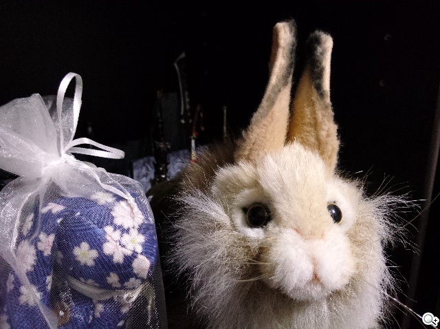 OPPO N1實測！206度隨意翻轉鏡頭、自拍巨屏靓機體驗