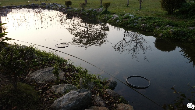 索尼Xperia Z1 Compact防水輕旗艦：G鏡頭攝錄功能