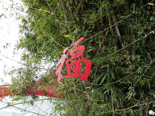 手寫、高規、大視野 三星GALAXY NotePRO 12.2超平板降臨