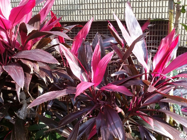 手寫、高規、大視野 三星GALAXY NotePRO 12.2超平板降臨