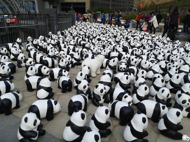 平價5吋 SAMSUNG GRAND Neo四核樂享機