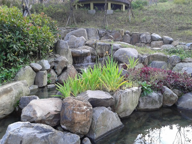 平價5吋 SAMSUNG GRAND Neo四核樂享機