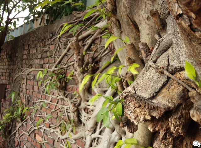 高性價比旗艦機!小米手機3台版實測 高性價比旗艦機!小米手機3台版實測