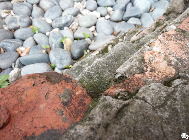 高性價比旗艦機!小米手機3台版實測 高性價比旗艦機!小米手機3台版實測