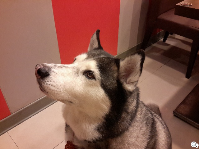 三星TabPRO 10.1高規超平板 商務、多工再進化