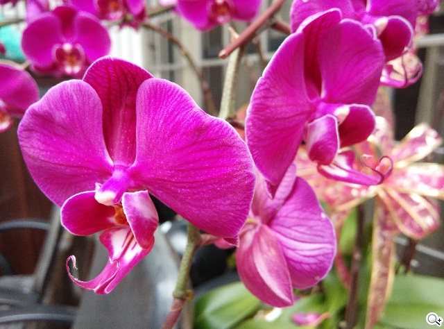 小米手機3、G-PLUS E7高CP值旗艦智慧機比拼