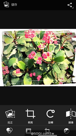 TWM Amazing A7台哥大5.5吋超值四核機