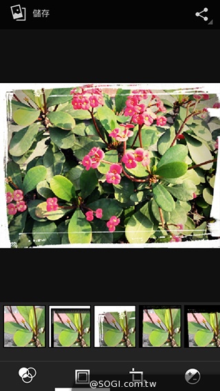 TWM Amazing A7台哥大5.5吋超值四核機