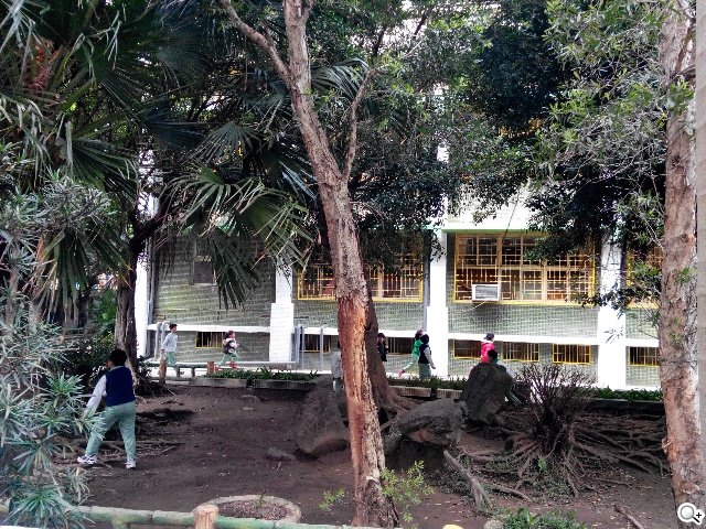 TWM Amazing A7台哥大5.5吋超值四核機