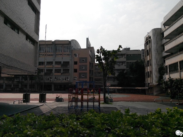 TWM Amazing A7台哥大5.5吋超值四核機