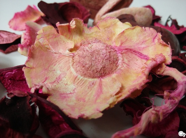 小米手機3、G-PLUS E7高CP值旗艦機比拼-介面、相機功能篇