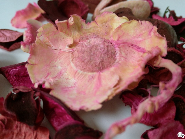 小米手機3、G-PLUS E7高CP值旗艦機比拼-介面、相機功能篇