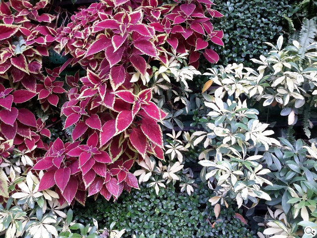 三星TabPRO 10.1高規超平板 商務、多工再進化