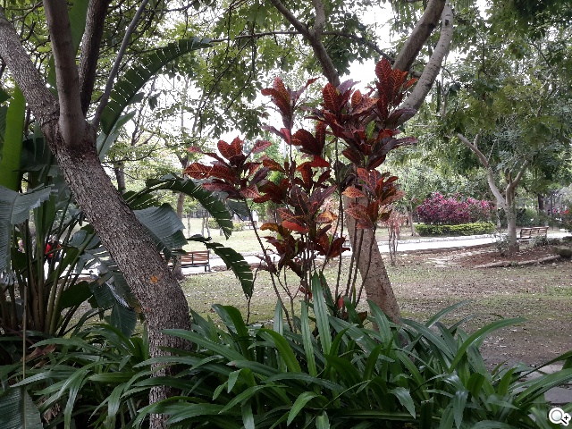 三星TabPRO 10.1高規超平板 商務、多工再進化