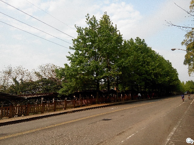 InFocus M320八核雙卡智慧機 5.5吋睛彩視野