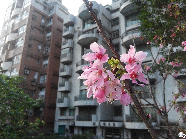 InFocus M320八核雙卡智慧機 5.5吋睛彩視野