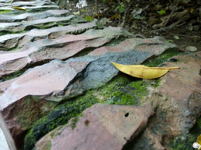 紅米殺手？華為榮耀3C平價雙卡機開箱速測
