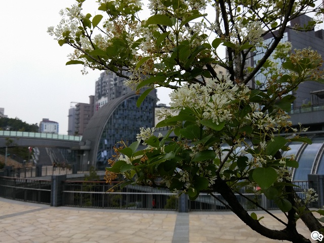 5.9吋LG G Pro 2大螢幕旗艦 實用功能再進化