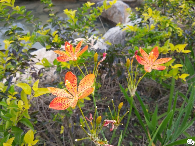 5.9吋LG G Pro 2大螢幕旗艦 實用功能再進化