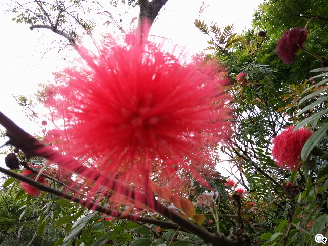 5.9吋LG G Pro 2大螢幕旗艦 實用功能再進化