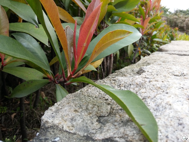 5.9吋LG G Pro 2大螢幕旗艦 實用功能再進化