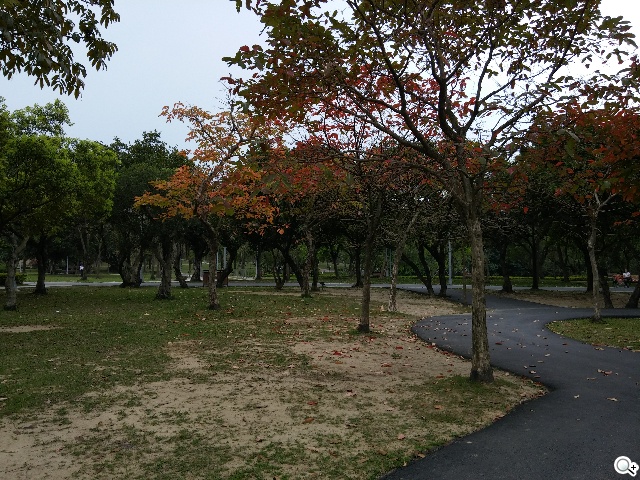 5.9吋LG G Pro 2大螢幕旗艦 實用功能再進化