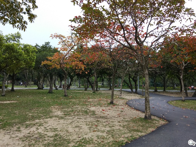 5.9吋LG G Pro 2大螢幕旗艦 實用功能再進化