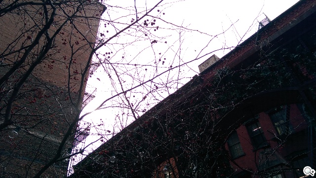 HTC One(M8)紐約搶先測：攝錄與效能表現