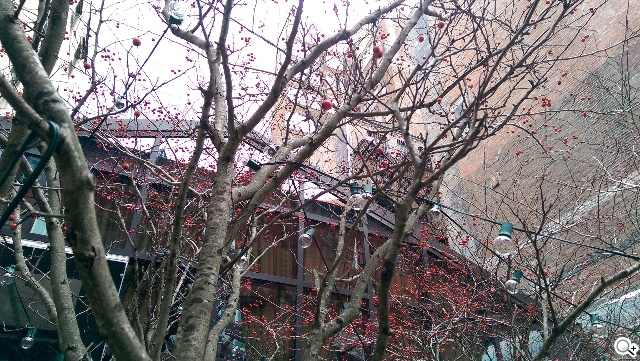 HTC One(M8)紐約搶先測：攝錄與效能表現