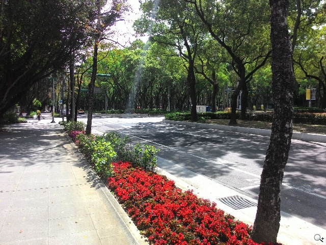 純粹本位 禪心入魂 ASUS ZenFone 5