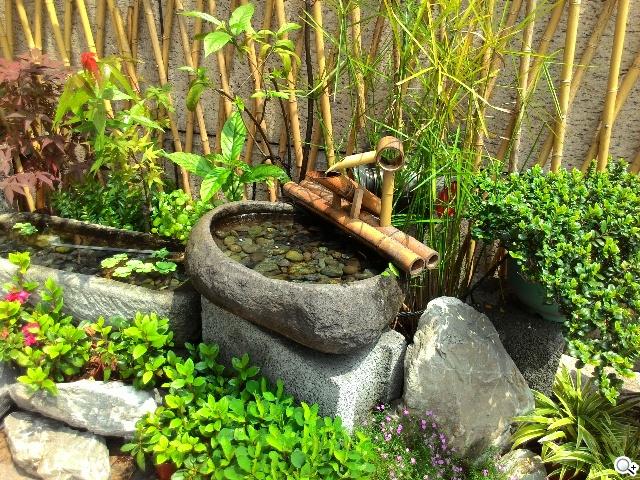 純粹本位 禪心入魂 ASUS ZenFone 5