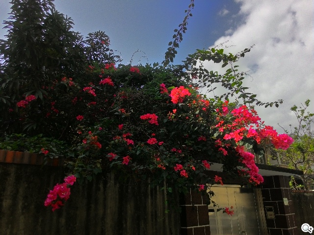 純粹本位 禪心入魂 ASUS ZenFone 5