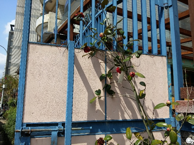 5.9吋LG G Pro 2大螢幕旗艦 實用功能再進化