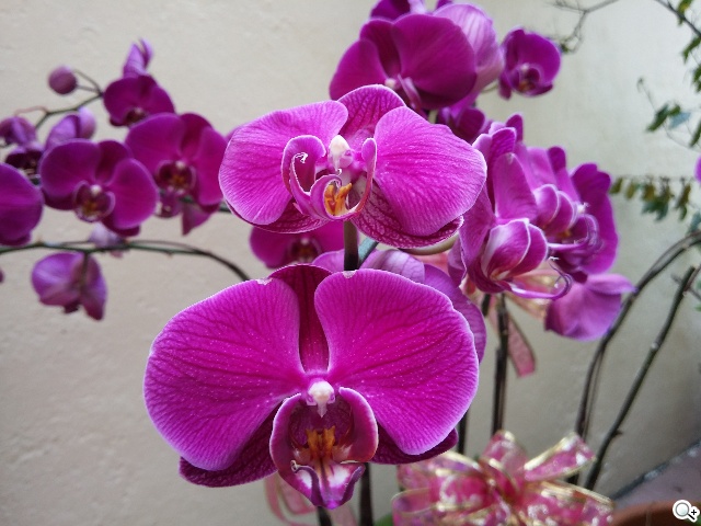 5.9吋LG G Pro 2大螢幕旗艦 實用功能再進化