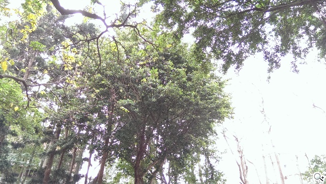 傳承與進化 HTC One M8、M7兩代旗艦比拼