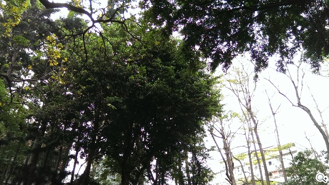 傳承與進化 HTC One M8、M7兩代旗艦比拼