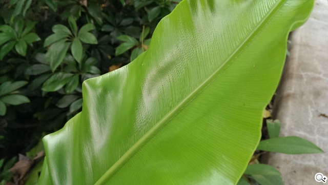 傳承與進化 HTC One M8、M7兩代旗艦比拼