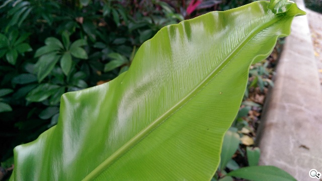 傳承與進化 HTC One M8、M7兩代旗艦比拼