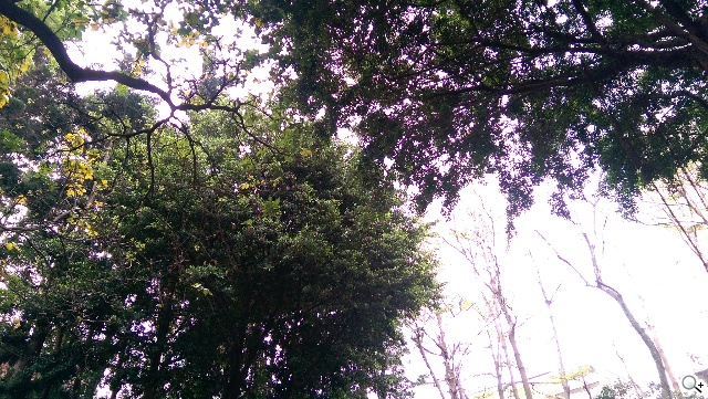 傳承與進化 HTC One M8、M7兩代旗艦比拼