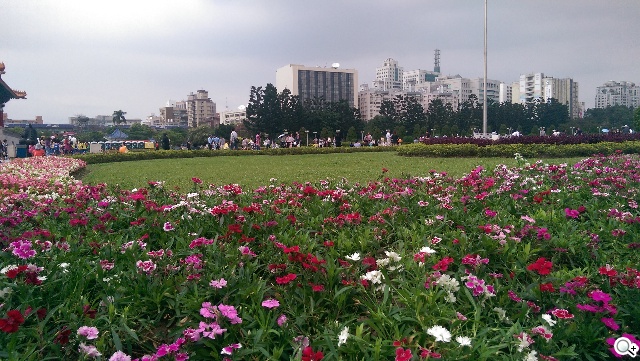 2014旗艦報到！M8、S5、Z2、G Pro 2四機全面比拼