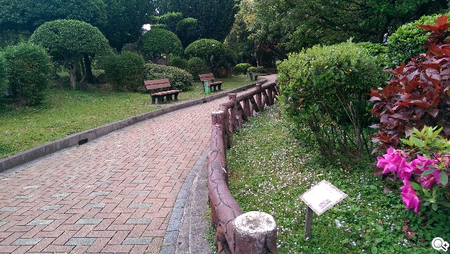 2014旗艦報到！M8、S5、Z2、G Pro 2四機全面比拼