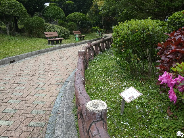 2014旗艦報到！M8、S5、Z2、G Pro 2四機全面比拼