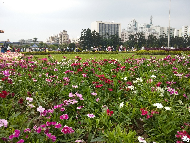 2014旗艦報到！M8、S5、Z2、G Pro 2四機全面比拼