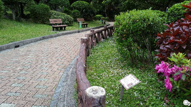 2014旗艦報到！M8、S5、Z2、G Pro 2四機全面比拼