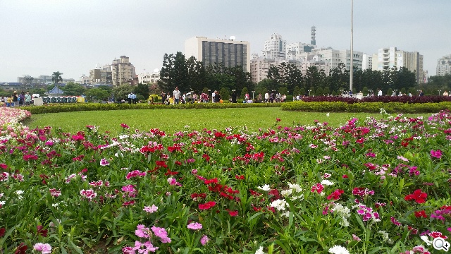 2014旗艦報到！M8、S5、Z2、G Pro 2四機全面比拼