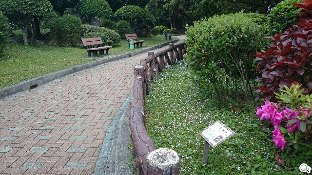 2014旗艦報到！M8、S5、Z2、G Pro 2四機全面比拼