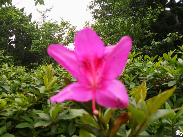 2014旗艦報到！M8、S5、Z2、G Pro 2四機全面比拼