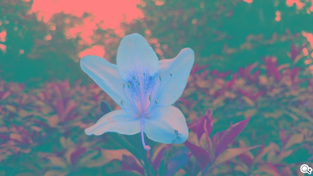 2014旗艦報到！M8、S5、Z2、G Pro 2四機全面比拼