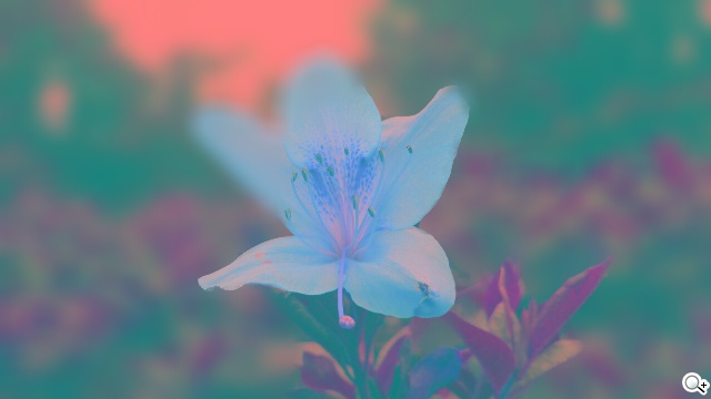 2014旗艦報到！M8、S5、Z2、G Pro 2四機全面比拼